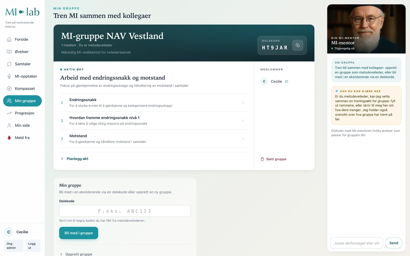 Min gruppe: metodeveileder setter sammen en treningsøkt for kollegaer, med aktiv økt og MI-mentor